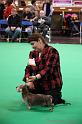 Crufts2011_2 448